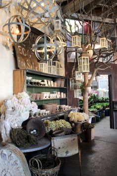 a store filled with lots of different types of flowers and plants in baskets on shelves