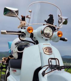 a white scooter with a stuffed animal on the handlebars is parked