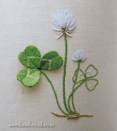 three white flowers with green leaves on a beige cloth textured background, in the shape of four leaf clovers