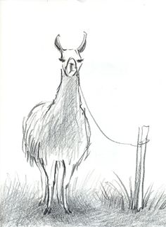 a drawing of a goat tied to a post