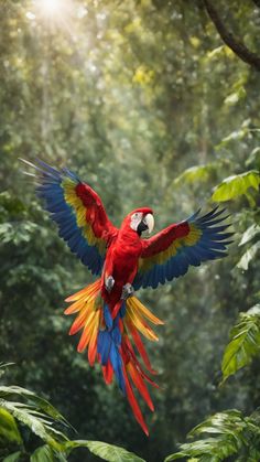 a red and yellow parrot is flying in the air with its wings spread wide open