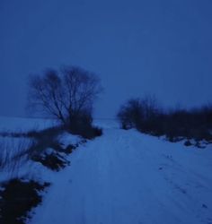 a snowy road in the middle of nowhere