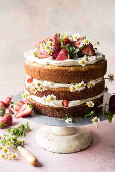 a three layer cake with strawberries and daisies on the top is surrounded by flowers