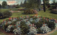 an old postcard with flowers and trees in the background