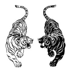 Thai Tattoos, Two Tigers, Tiger Tattoos, Jaguar Tattoo, Tiger Tattoo Design, 18th Bday, Stomach Tattoos, Tiger Tattoo