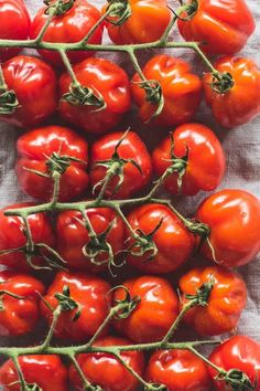 several tomatoes are arranged in a row on the table top, ready to be picked from the garden