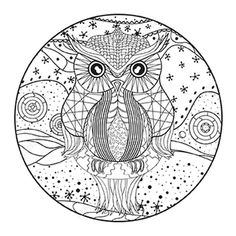 an owl sitting on top of a tree branch with stars in the sky behind it