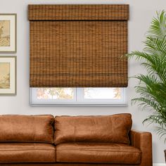 a brown couch sitting under a window next to a potted plant