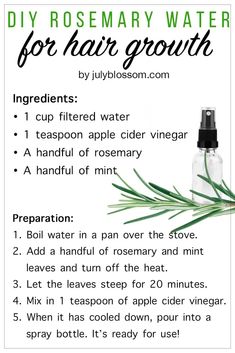 Rosemary Water For Hair Growth, Rosemary Water For Hair, Natural Hair Growth Remedies, Rosemary Water, Healthy Natural Hair Growth, Hair Growth Secrets, Hair Growing Tips, Hair Remedies For Growth, Homemade Hair Products