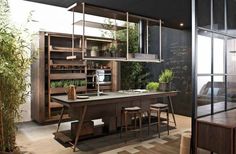 a kitchen with lots of plants and wooden shelves on the wall, along with stools