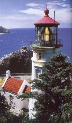 a light house sitting on top of a hill next to the ocean