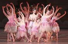 a group of ballerinas in pink tutus and leotards pose for the camera