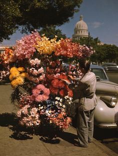 a woman arranging flowers on the sidewalk in front of an old car and capitol building