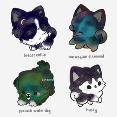 four different types of cats with names on them