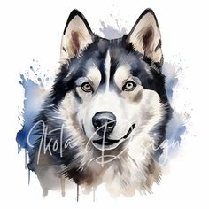 a black and white husky dog with blue watercolor stains on it's face