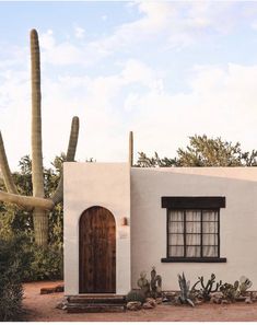 an adobe - style house with cactus and cacti in the foreground