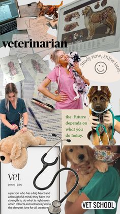 a collage of photos with dogs and veterinaians on it's side