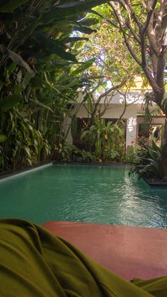 an empty swimming pool surrounded by trees and plants