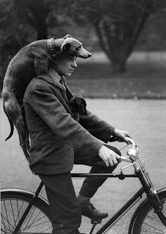 a man riding a bike with a dog on his back