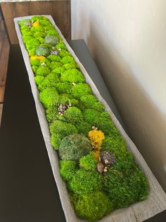 a long table with moss growing on it