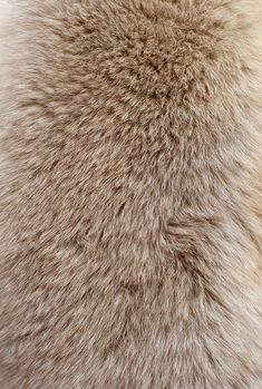 the fur is brown and white in color