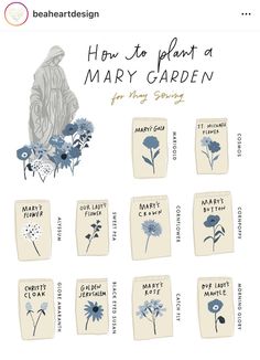 how to plant a mary garden for spring