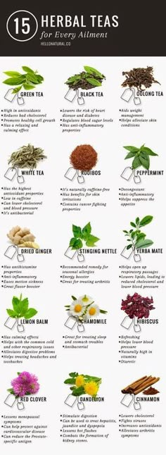 Green tea is not the only tea with promising (and according to many sources, PROVEN) health benefits. This infographic illustrates and describes 14 other healing herbal teas. Herbs And Their Uses, Tea Remedies, Types Of Herbs, Tea Health Benefits, Smoothie Detox, Tea Benefits, Herbal Teas, Detox Tea, Detox Smoothie