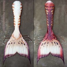 two pictures of the tail and back end of a fish's tail, with different colors