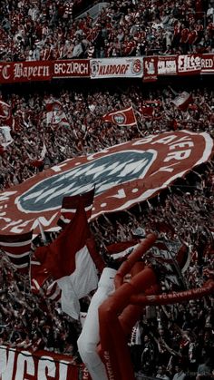 fans in the stands at a sporting event with flags and banners on their shoulders,