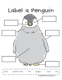 a penguin labeled with labels on it's body and the words label a penguin