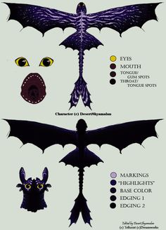 the different types of bats are shown in this diagram