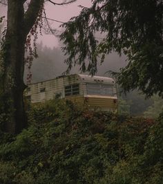 an old bus sitting on top of a lush green hillside next to trees and bushes