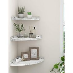 three white shelves with plants and pictures on them