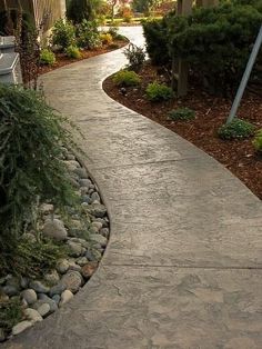 a sidewalk with rocks and plants along it