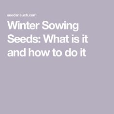 the words winter sowing seeds what is it and how to do it in white