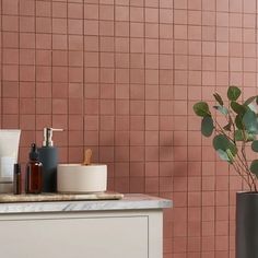 a bathroom counter with soap, toothbrushes and a potted plant