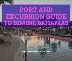 Need ideas for shore excursions in Bimini? Here's our port and shore excursion guide to Bimini, covering the Beach Club at Resorts World too Sea Activities, The Beach Club, Shark Diving, Shark Swimming, Beach Chair Umbrella, Free City, Restaurant Guide, Cruise Port