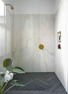 a bathroom with marble walls and flooring next to a green plant in the corner