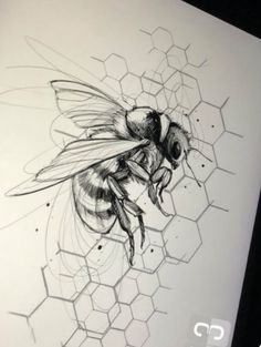 a drawing of a bee sitting on top of a piece of paper