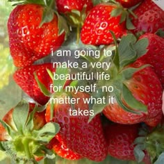 a bunch of strawberries sitting on top of a window sill with a quote