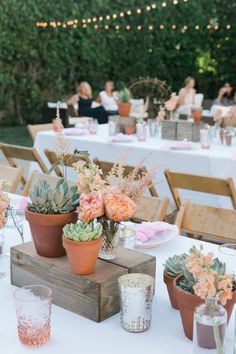 there are many potted plants on the tables at this outdoor wedding reception, with people in the background