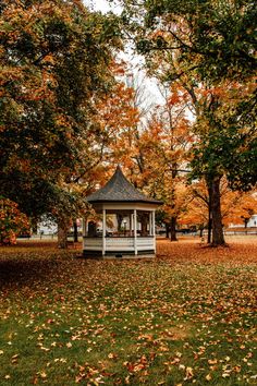 a white gazebo surrounded by trees and leaves