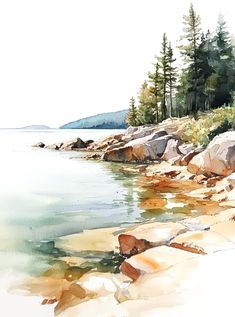 watercolor painting of rocky shoreline with pine trees