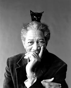 morgan freeman has a kitten on his head your argument is invaljd?