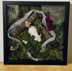 an image of a framed object with moss and other items in it on a table