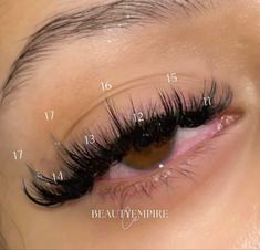 Wispy Set Lashes, Light Volume Lashes, Lashes Map, Prom Lashes, Wispy Lash Map, Wispy Set