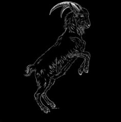 a black and white drawing of a goat jumping in the air with it's tail up