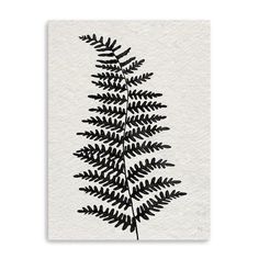 a black and white drawing of a fern leaf