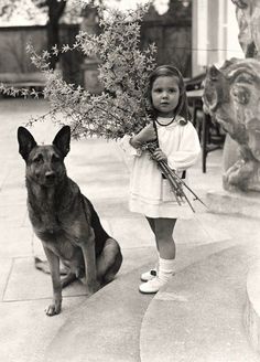 Complex Emotions, Year 7, Mountain Retreat, Nagasaki, Interesting History, Photo Vintage, Vintage Dog, History Lessons, Hiroshima