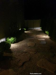 a path lit up with lights in the middle of a garden at night, leading to an entrance